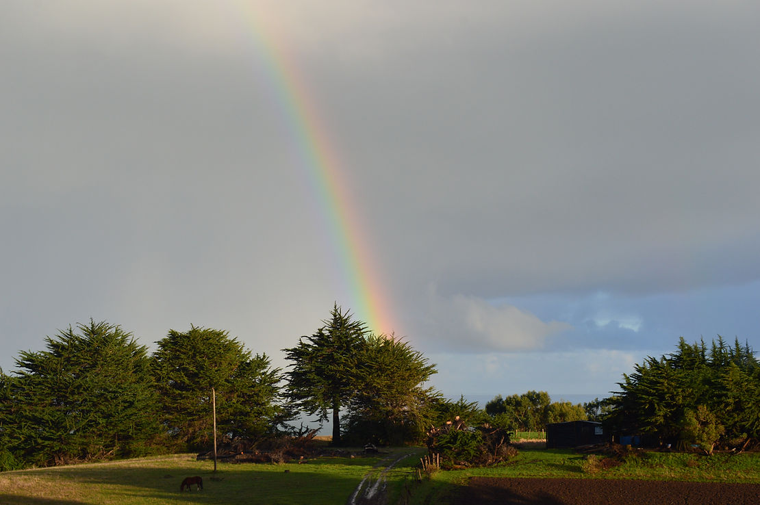 Tratamiento de agua lluvia: filtración de contaminantes, re-mineralización y desinfección